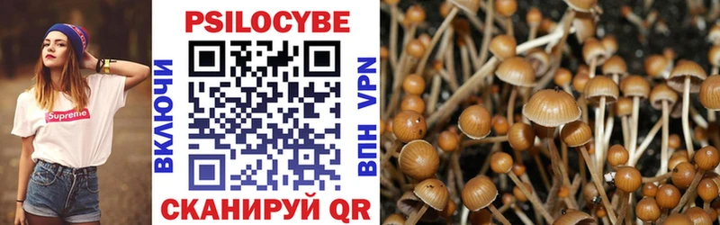 Псилоцибиновые грибы Magic Shrooms  Прокопьевск 